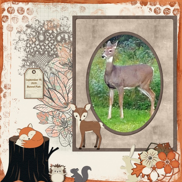 Forest Sanctuary