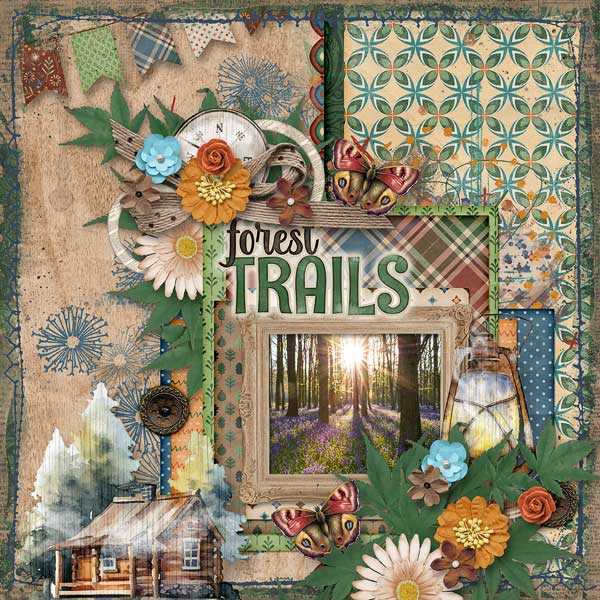 Forest Trails