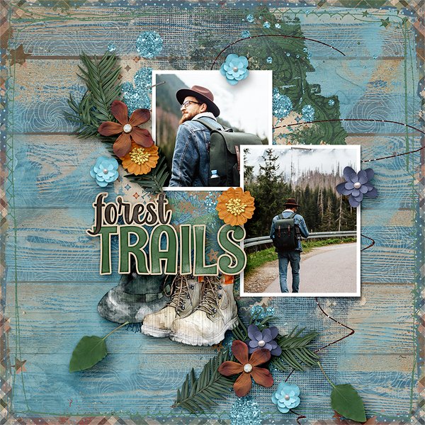 Forest Trails