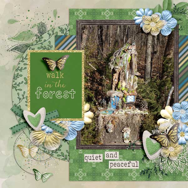 Forest Walk