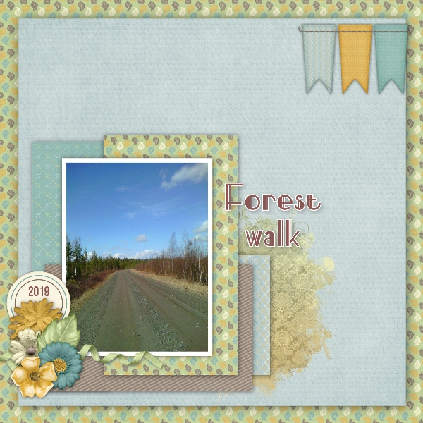Forest walk