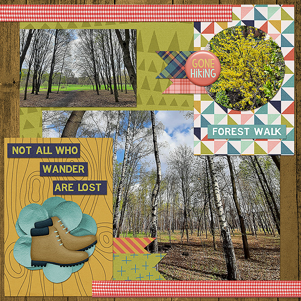 Forest Walk