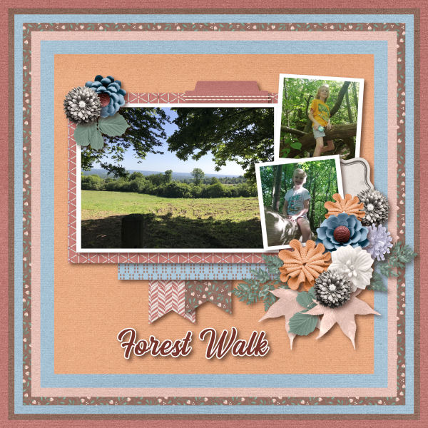 Forest Walk