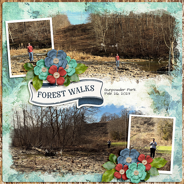 Forest Walks
