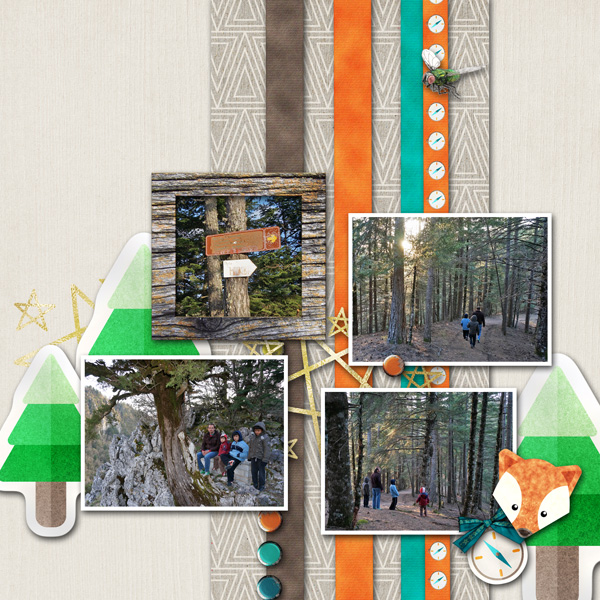forest