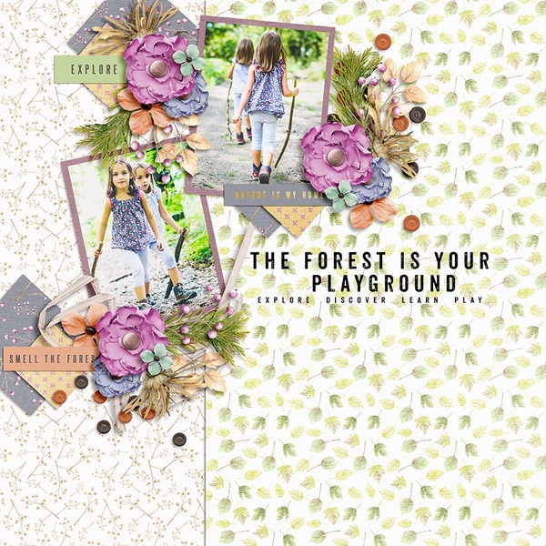 Forest