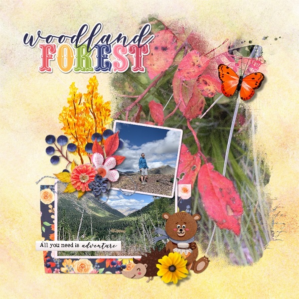 Forest