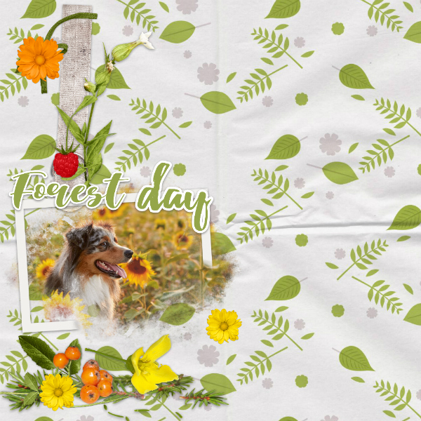 Forest_day