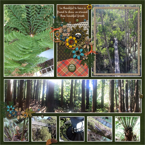 forest_scenes