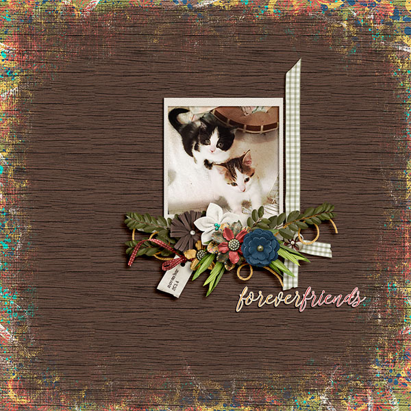 forever friends