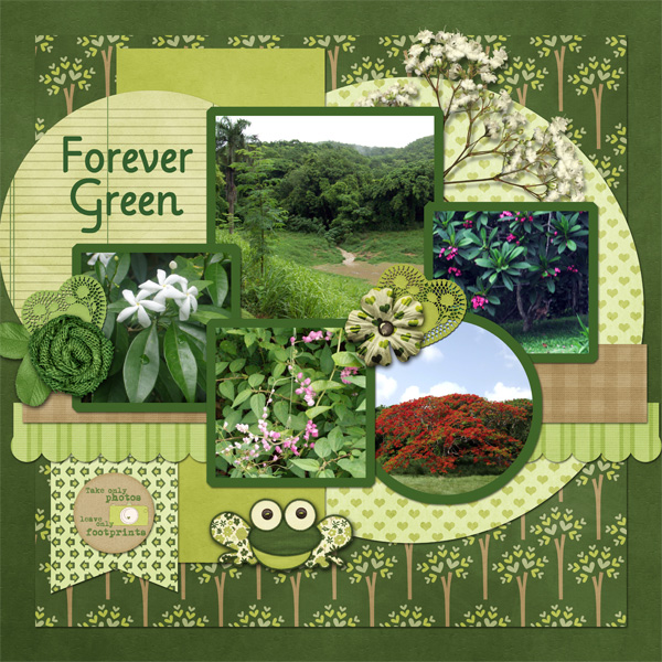 Forever Green