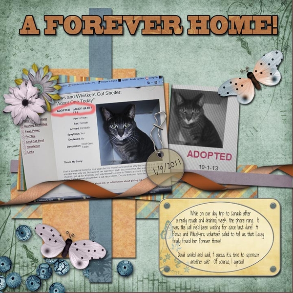 Forever Home