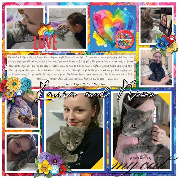 Forever My Cat