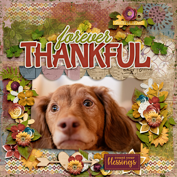 Forever Thankful