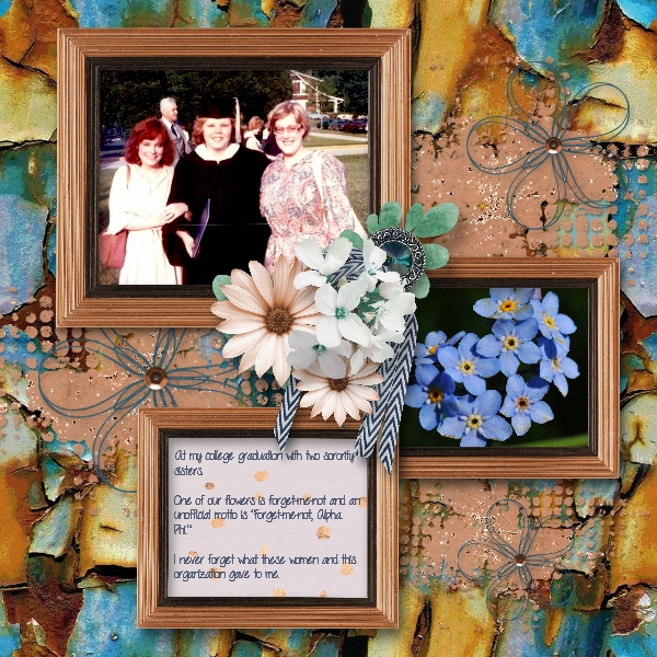 Forget Me Not, Alpha Phi
