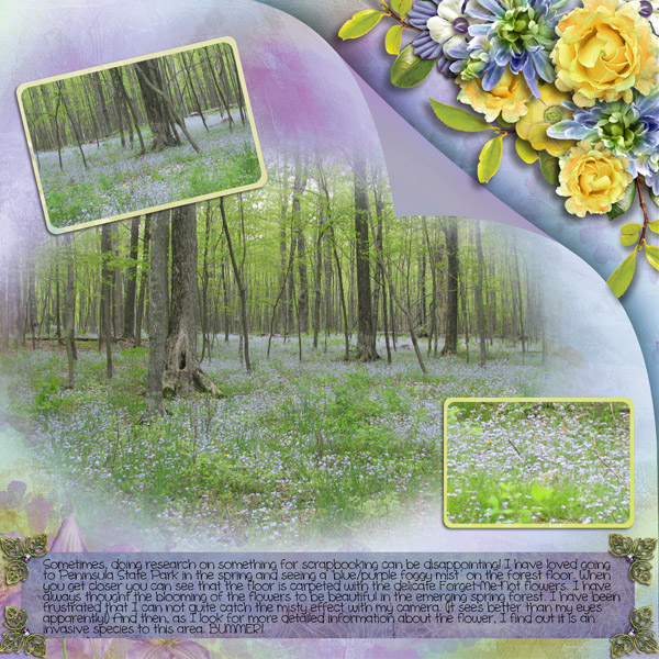Forget me not
