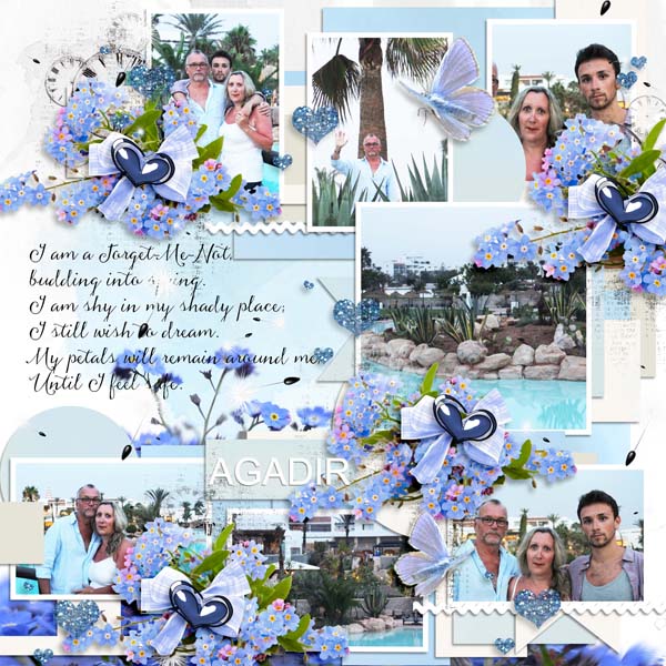 Forget me not
