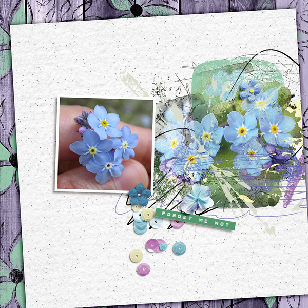 Forget me not