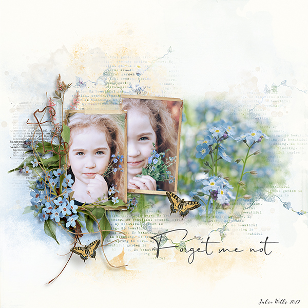 forget me not