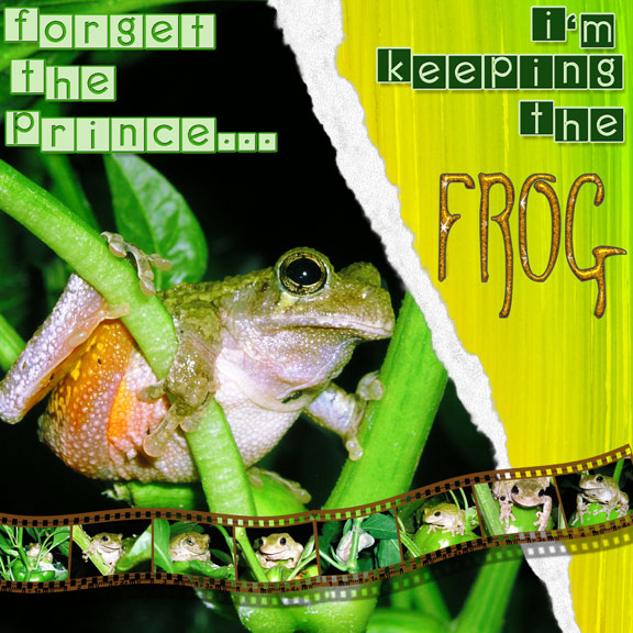 Forget the Prince...