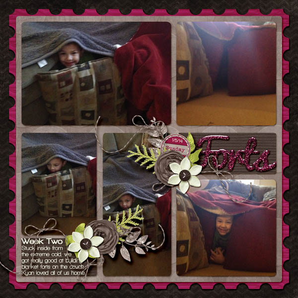 Forts