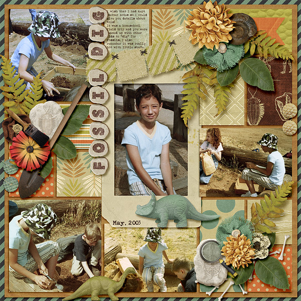 Fossil Dig
