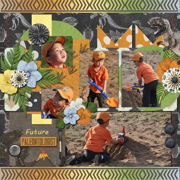 Fossil Hunter Drew