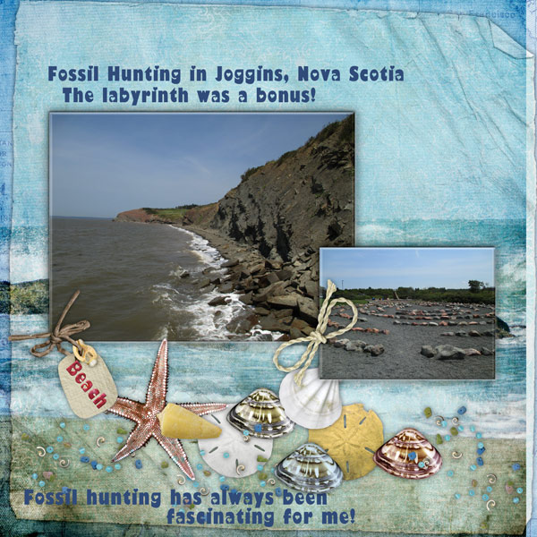 Fossil Hunting