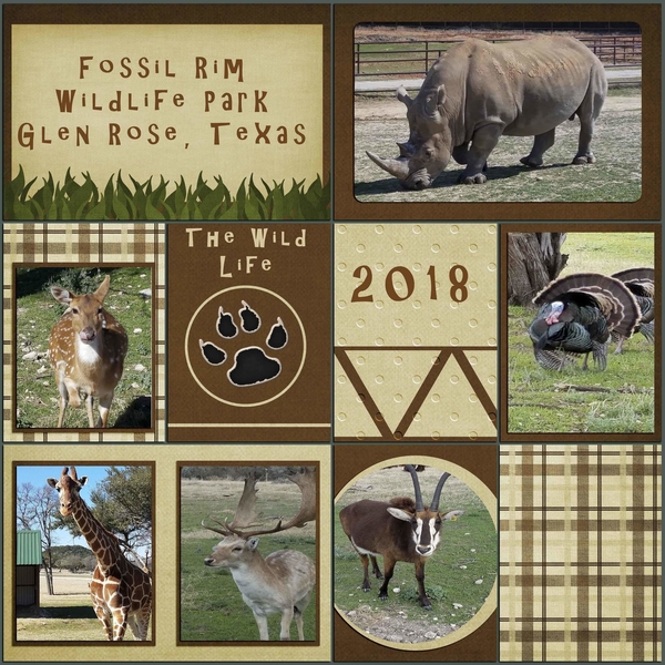 Fossil Rim 1