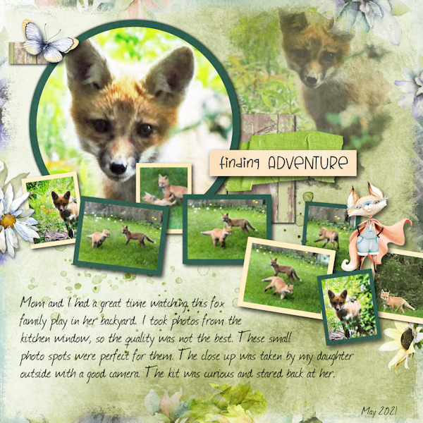 Fox Family