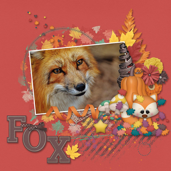 Fox