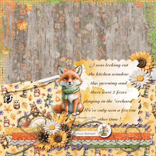 Foxes Playing