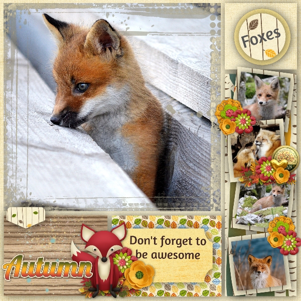 Foxes