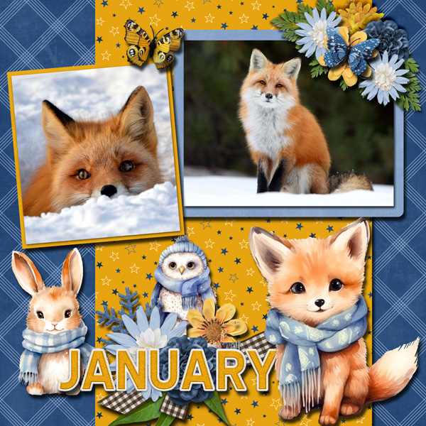 Foxes