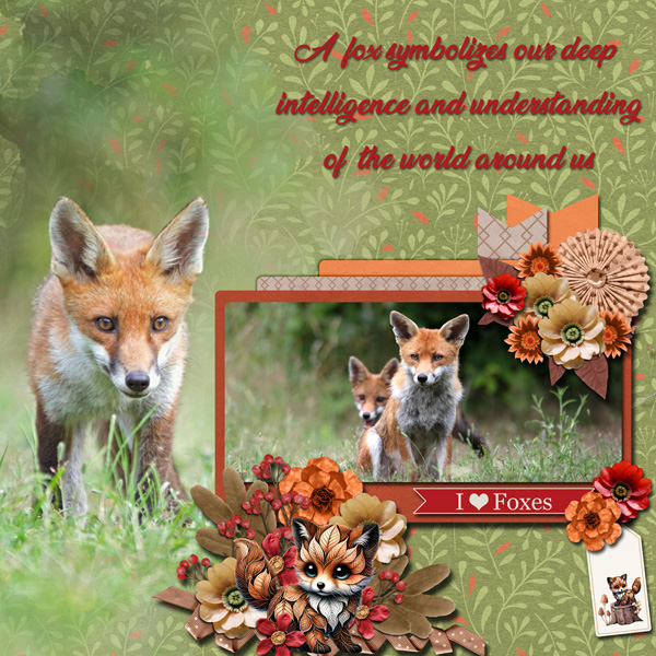 Foxes