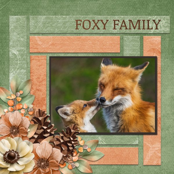 FOXY FAMILY