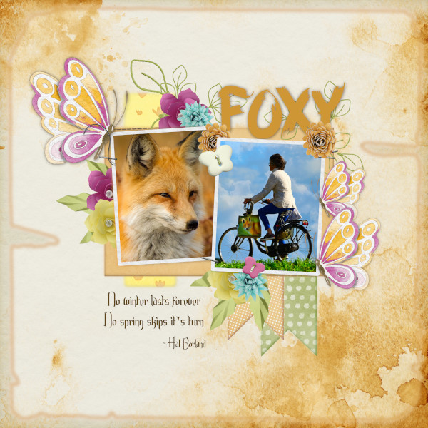 Foxy