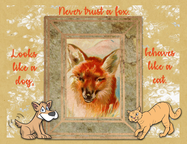 Foxy