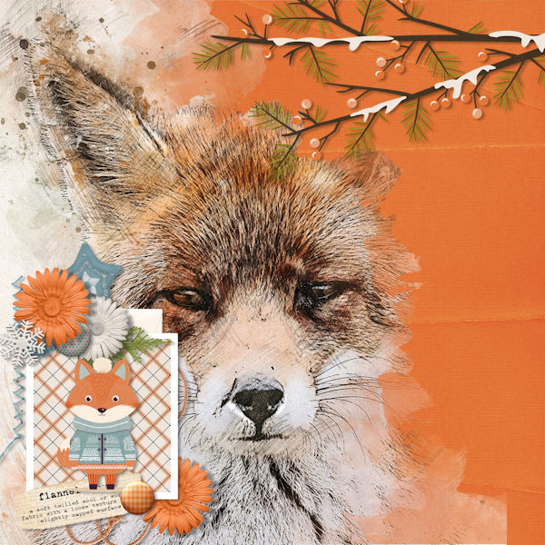 Foxy