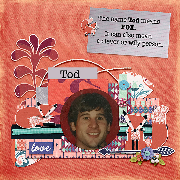 Foxy_Tod_Gallery_Size
