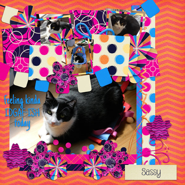 FQP_Sassy