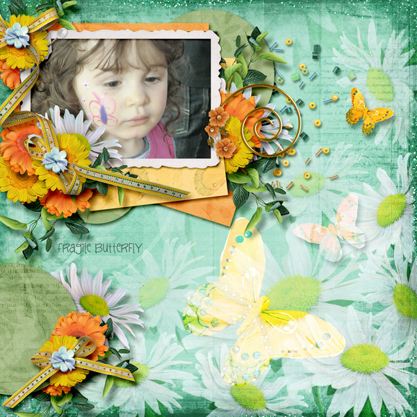 Fragile Butterfly