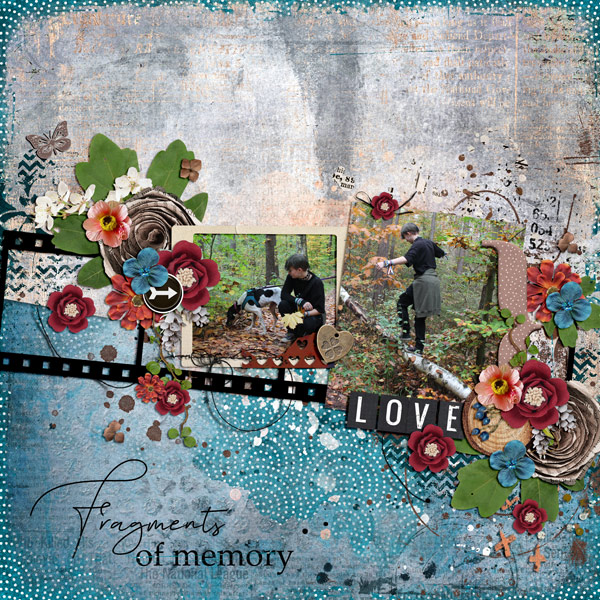 fragments of memory