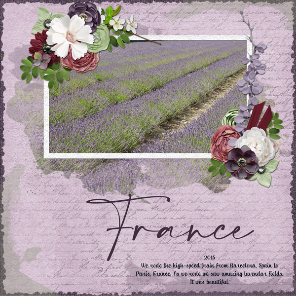 France Lavendar