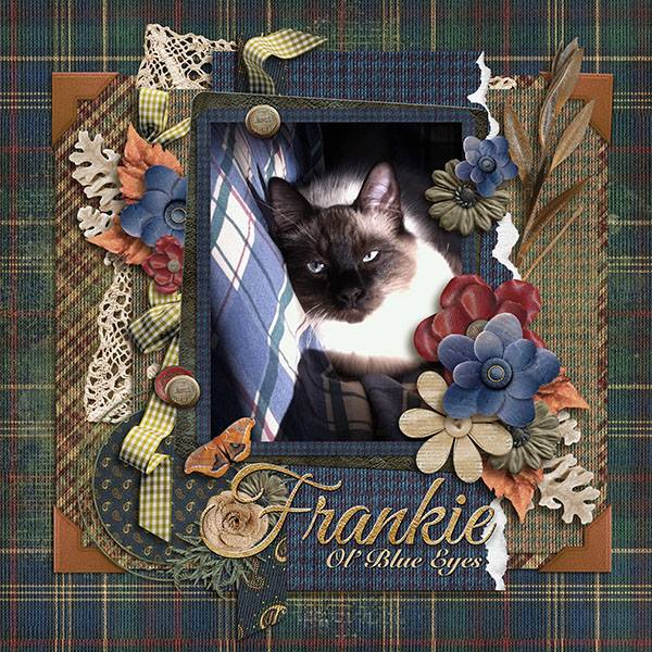 Frankie - Ol Blue Eyes
