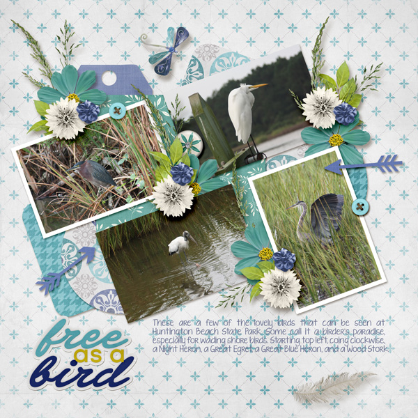 Free as a Bird