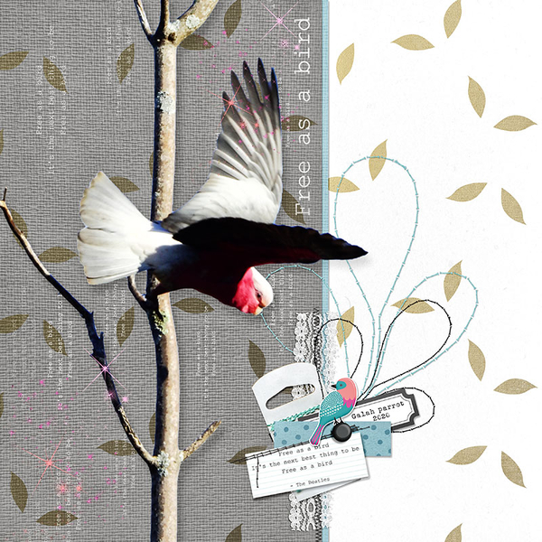 FREE AS A BIRD