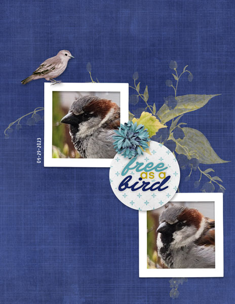 Free as a Bird
