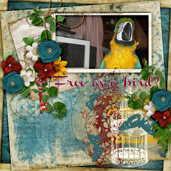 Free-as-a-bird2