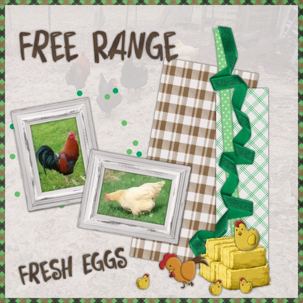 Free Range